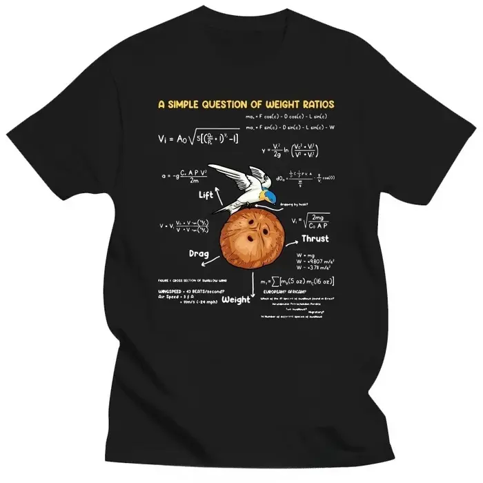 T-shirts pour hommes une question Simple professeur de mathématiques créatif Monty Python coton t-sh
