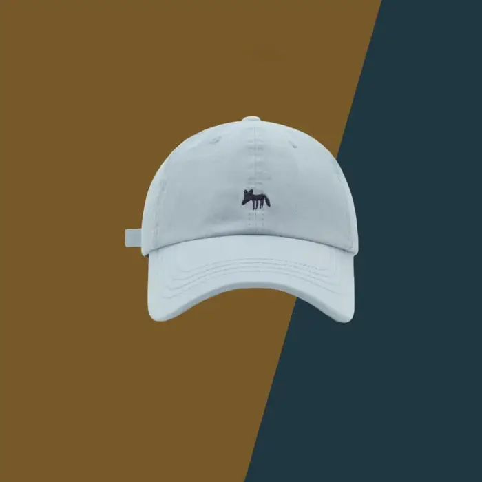 Casquette de baseball brodée Fox – Snapback unisexe de style coréen pour le visage de printemps et d